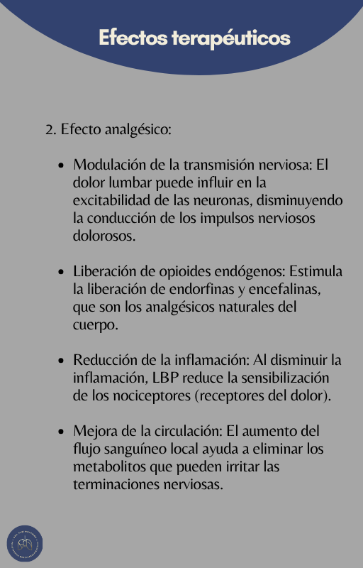 Espanhol (17)