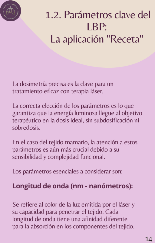 Espanhol (22)