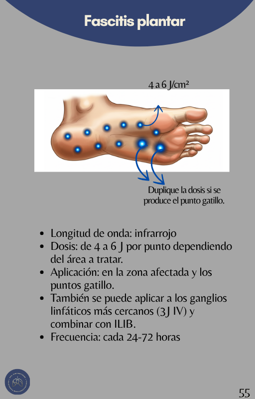 Espanhol (58)
