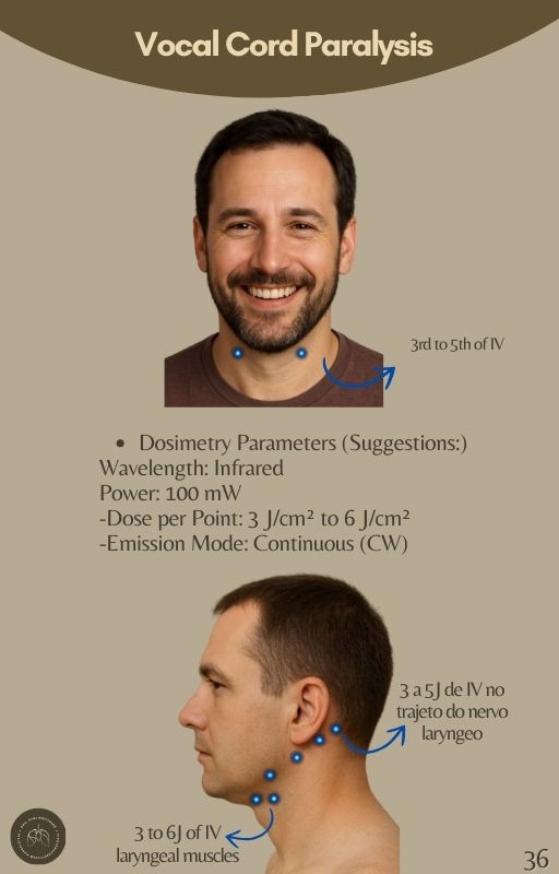 Inglês (41)